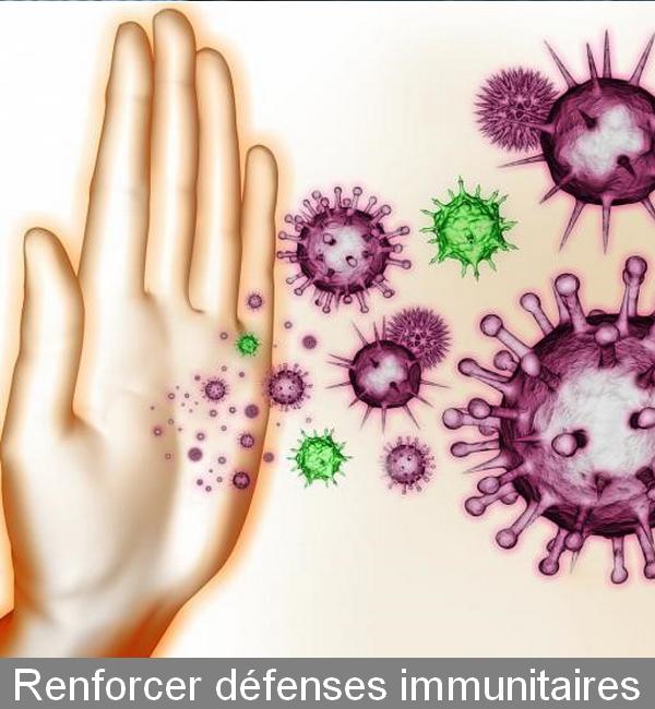 Renforcement des défenses immunitaires