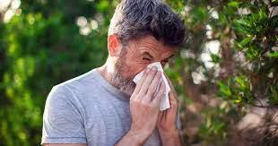 Traitement des allergies respiratoires à perpignan